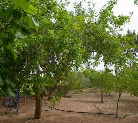 Myrtiana Villa